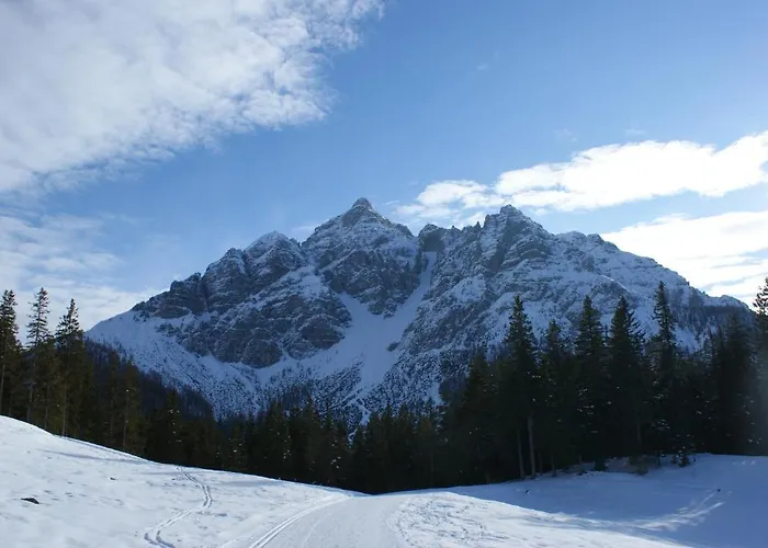 아파트 Haus Saxer 미에더스