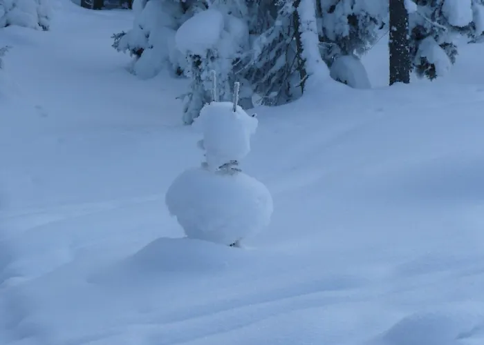 Haus Saxer * 미에더스