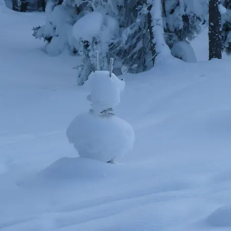 Haus Saxer * Mieders