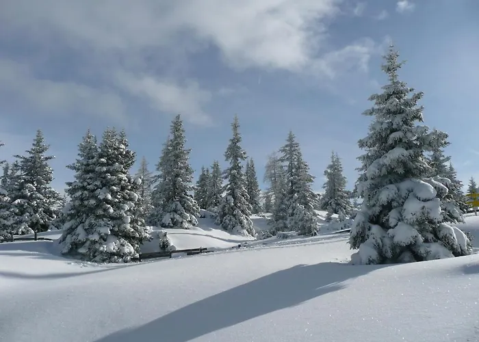 Haus Saxer 米耶德斯