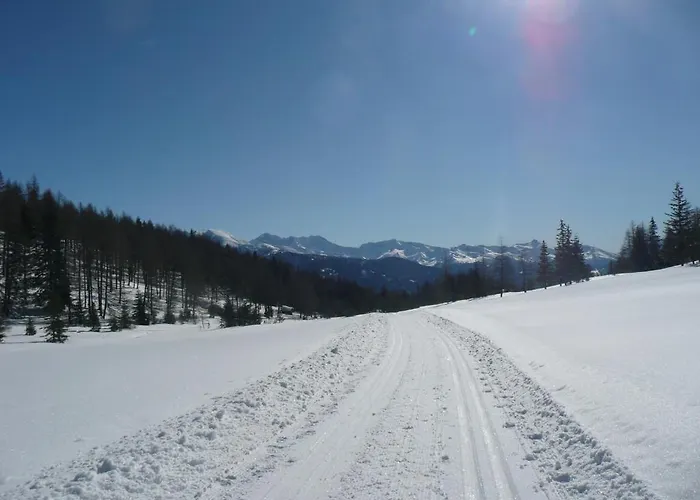 Apartament Haus Saxer Mieders